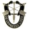 US Army Special Forces Logo Pin Military Collectibles for Men Women
